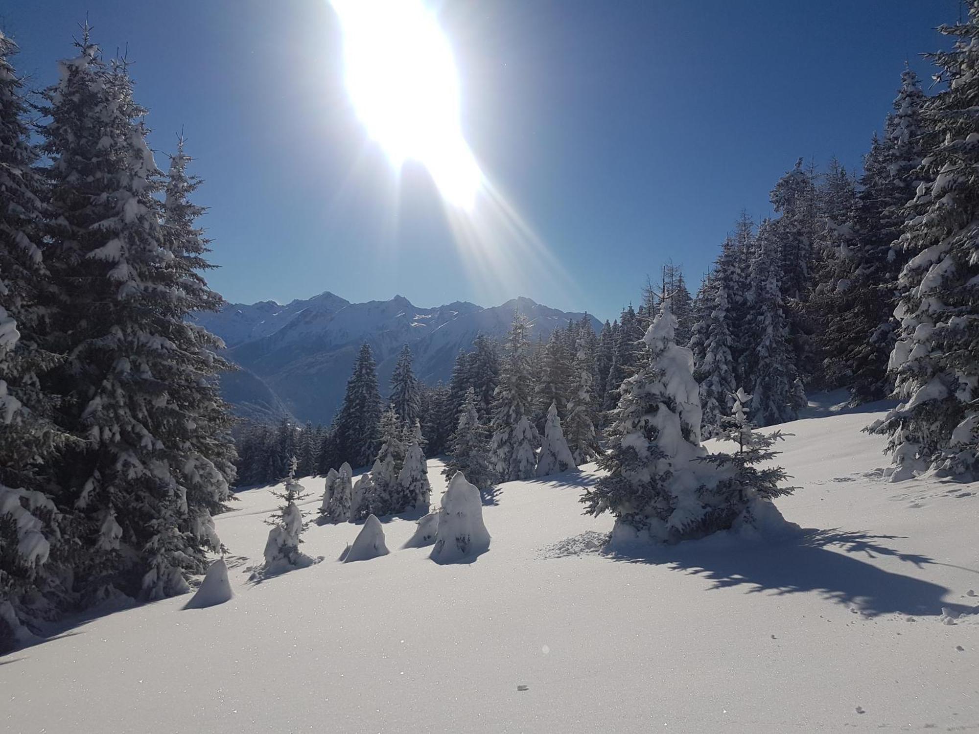 Apart Alpenzeit Arzl im Pitztal Exterior photo